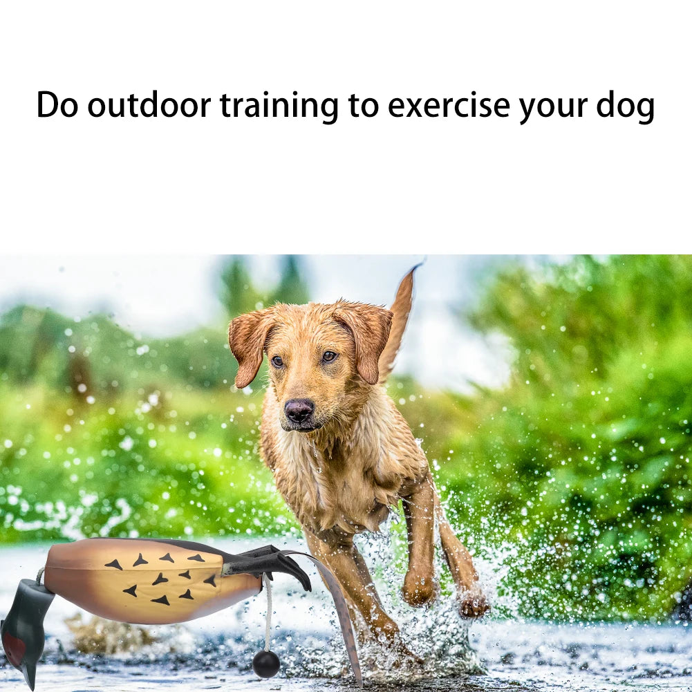 HiMISSH Pheasant Dummy Bumper Toy For Dog Training