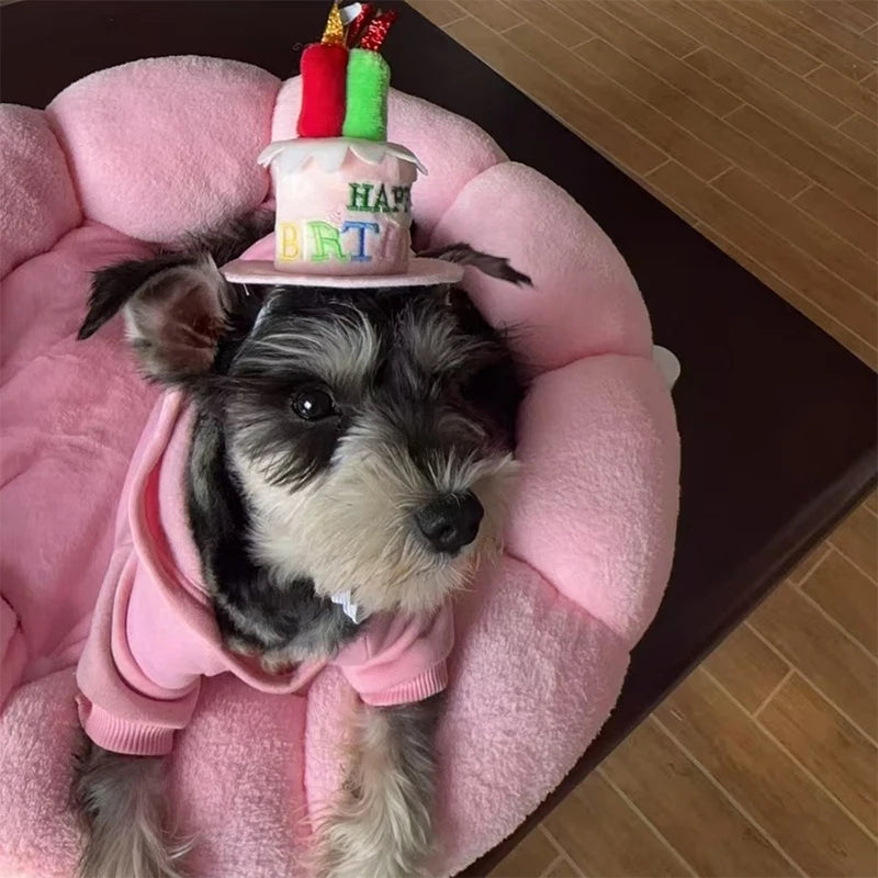Fujian Cute Adjustable Pet Birthday Hat For Dogs Cats