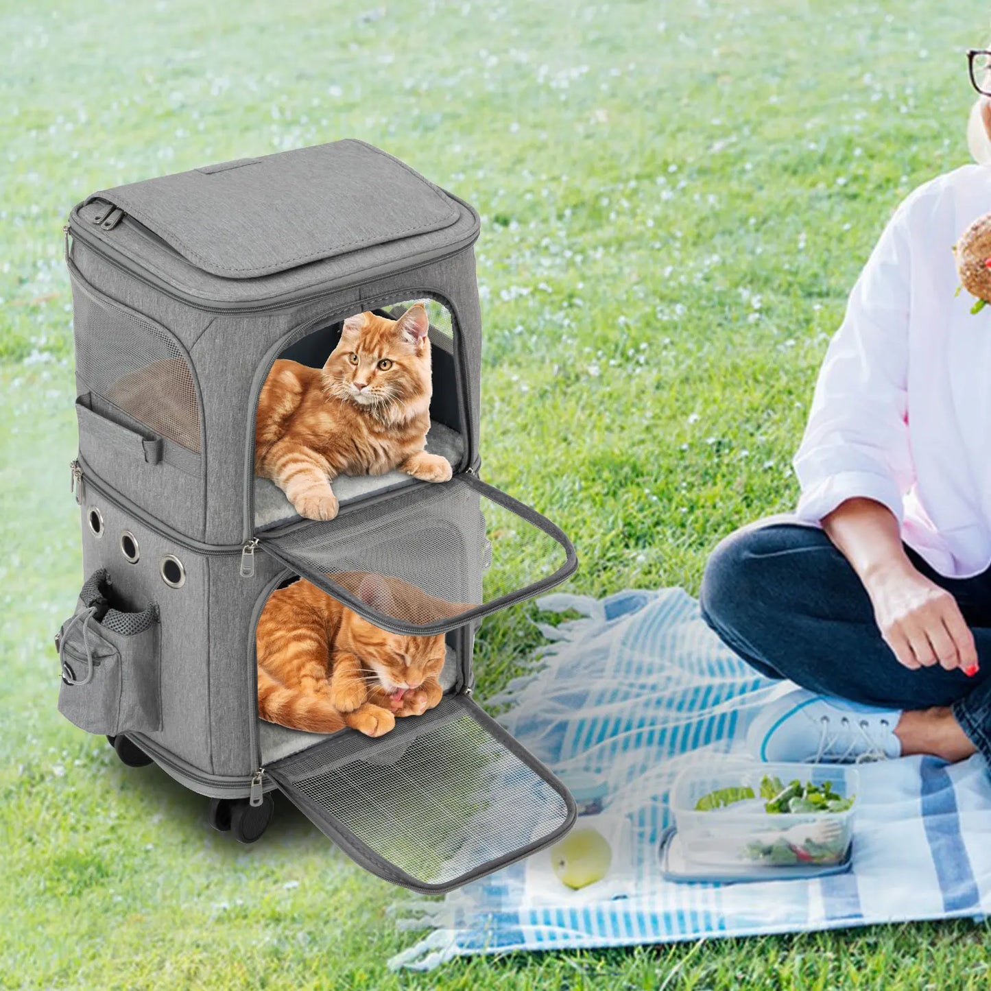 Cat Rolling Carrier With Wheels Dual Compartment For Travel