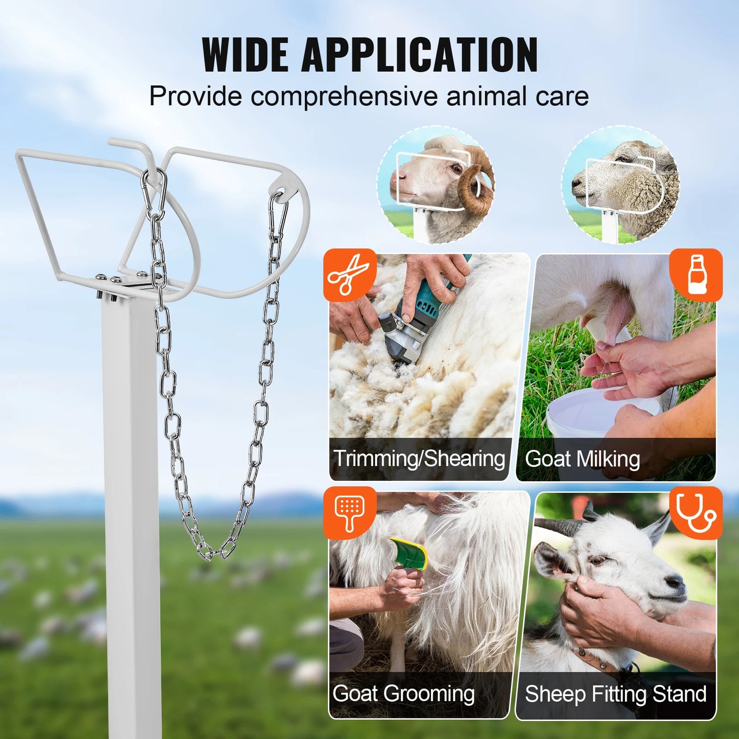 SucceBuy Goat and Sheep Stand for Milking and Shearing With Adjustable Height and Sturdy Iron Construction