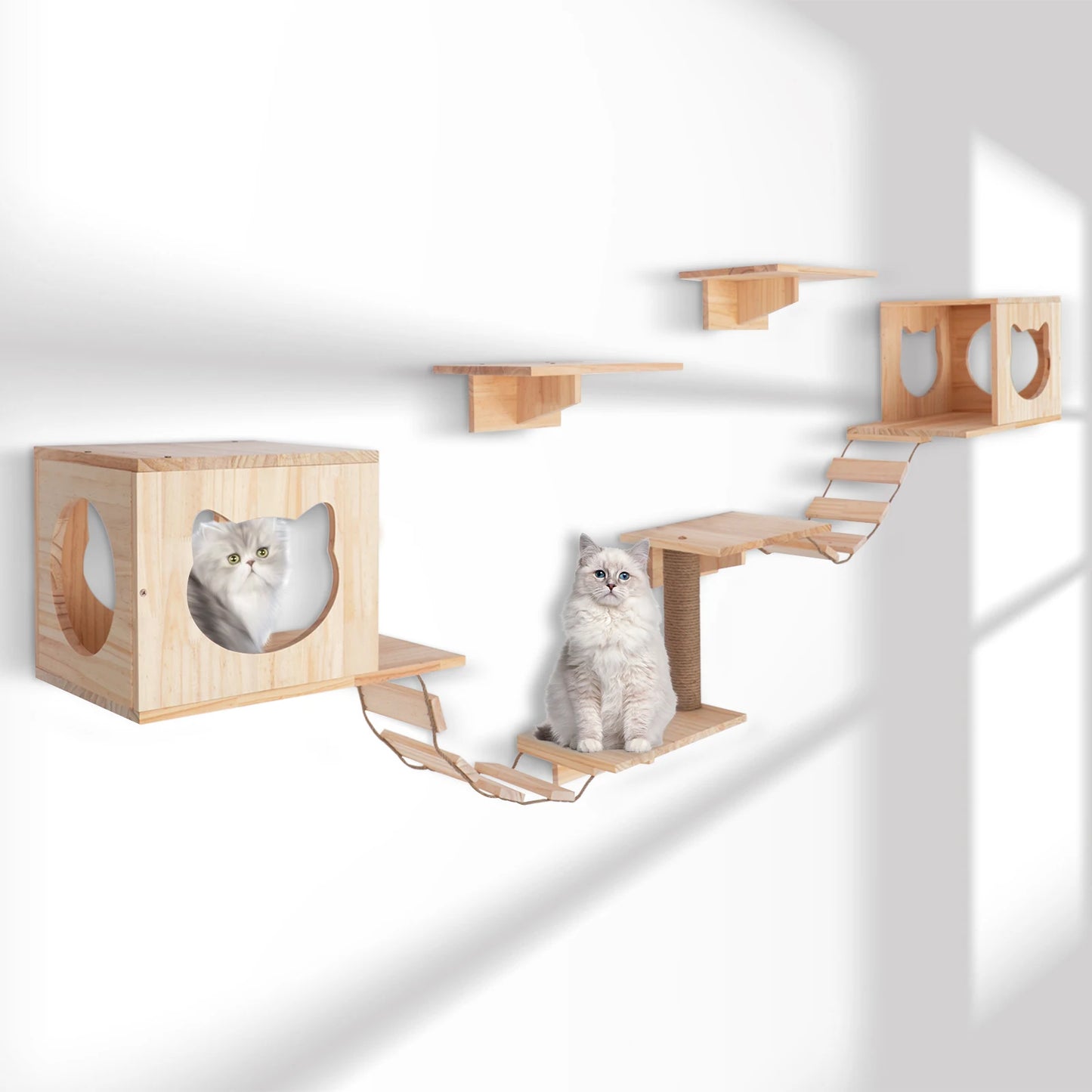 Sichuan Cat Wall Climber Set 9 Pieces Wood Cat Tree With Condos Shelves And Ladders