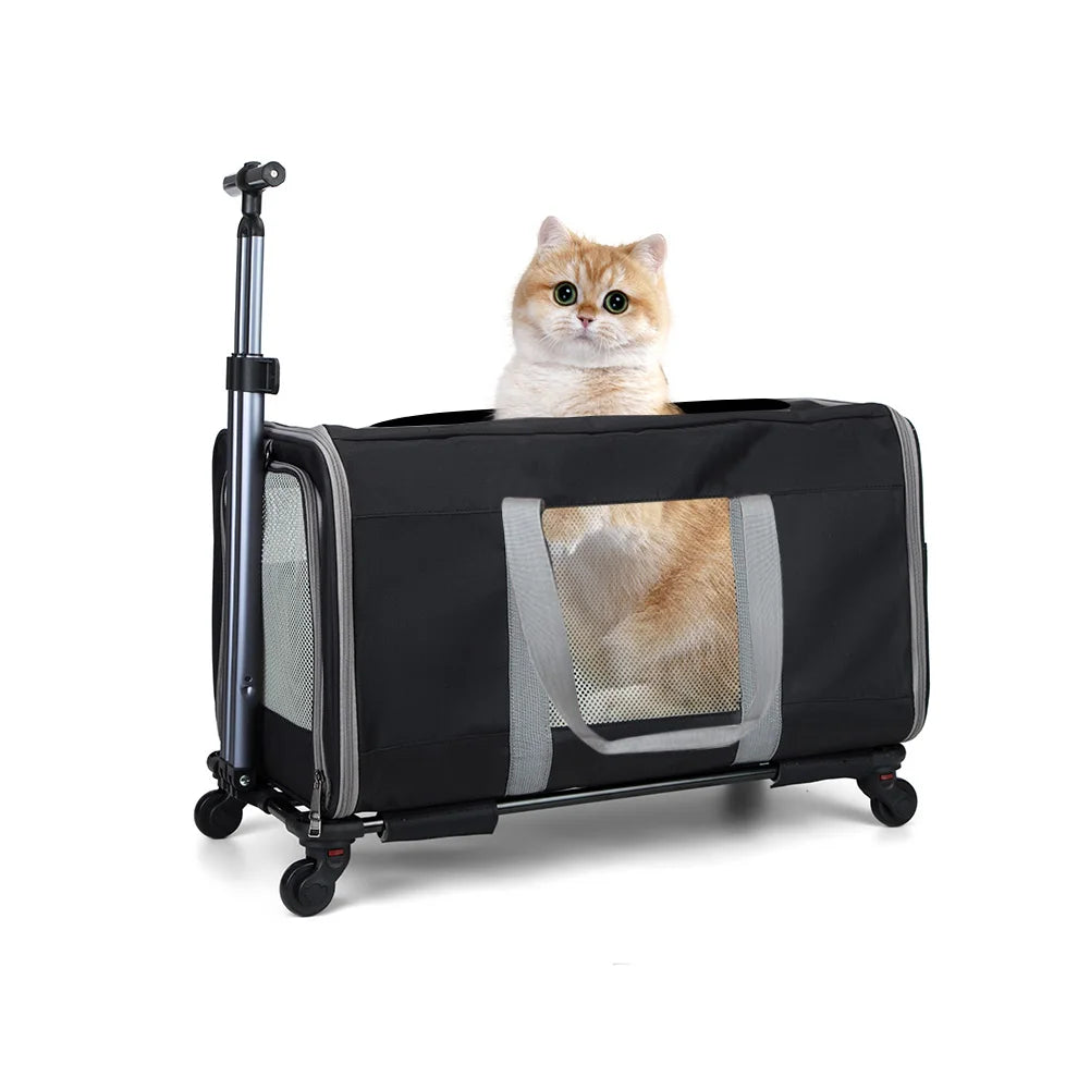 Two Cat Trolley Carrier With Wheels And Safety Belts