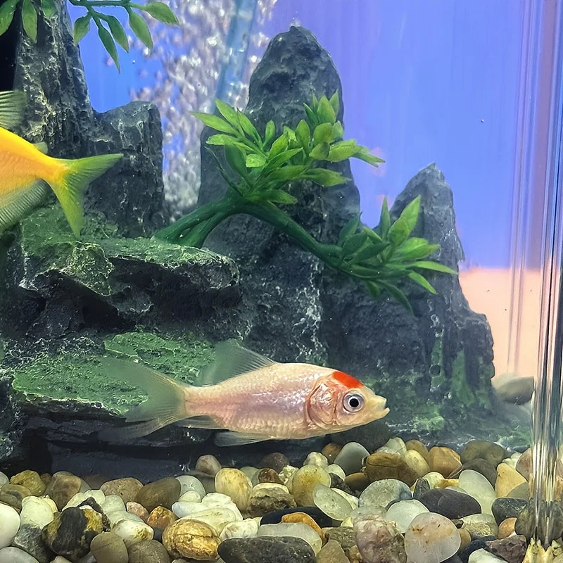 High-concerned Acrylic Desktop Aquarium Tank For Home Office