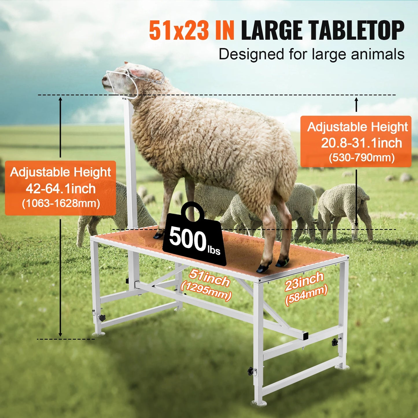 SucceBuy Goat and Sheep Stand for Milking and Shearing With Adjustable Height and Sturdy Iron Construction