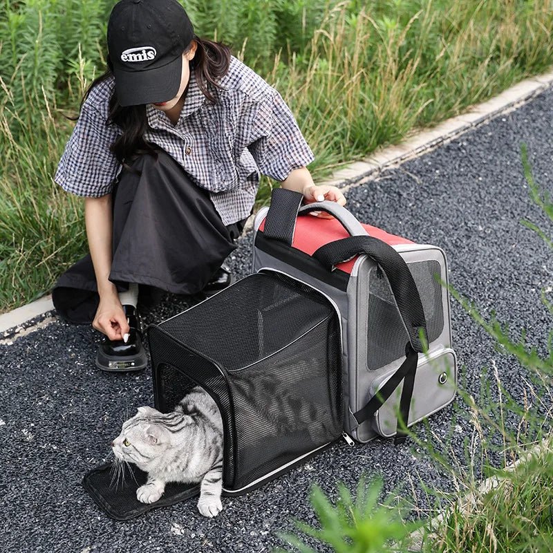 Henan Cross Border Cat Bag Portable Pet Backpack Expandable Large Capacity Breathable Travel Carrier
