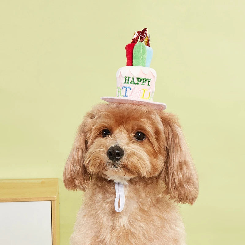 Fujian Cute Adjustable Pet Birthday Hat For Dogs Cats