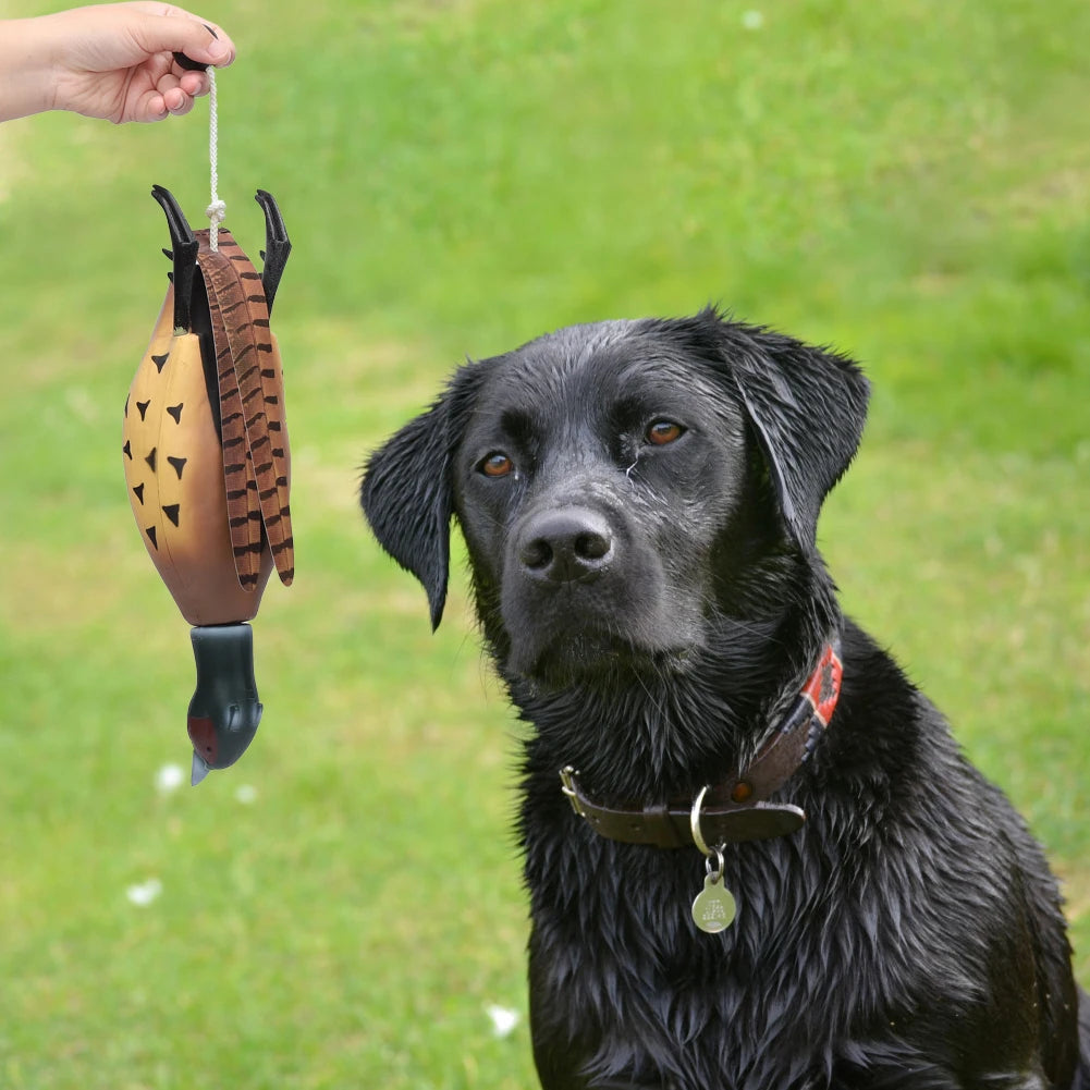 HiMISSH Pheasant Dummy Bumper Toy For Dog Training
