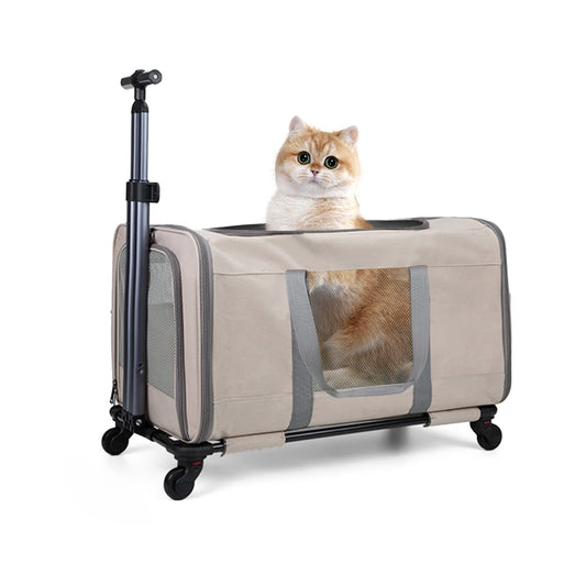 Two Cat Trolley Carrier With Wheels And Safety Belts